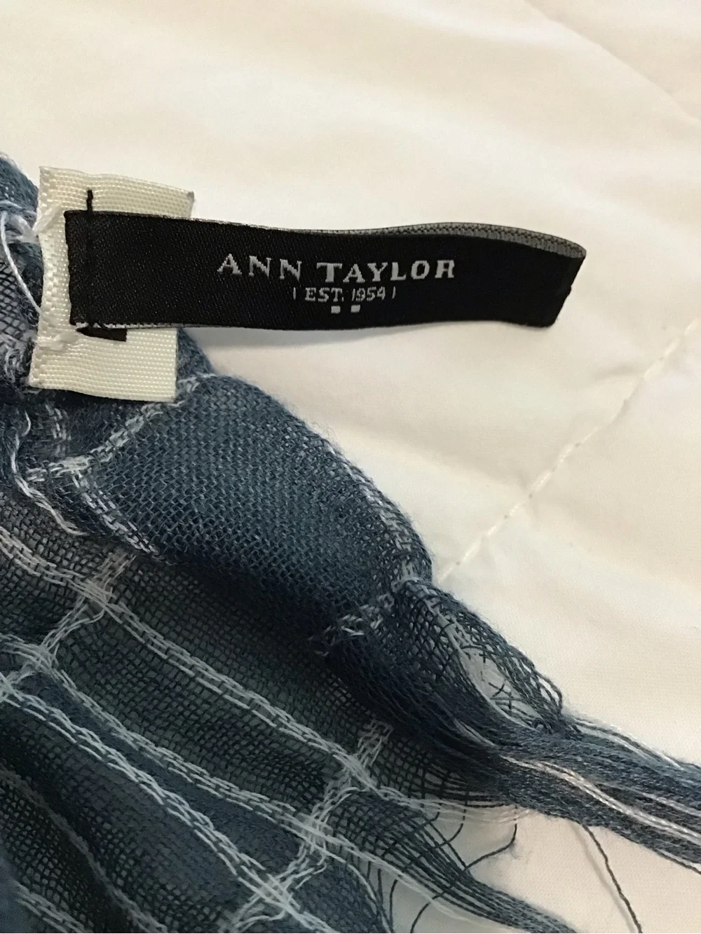 Ann Taylor Blue Smocked Scarf